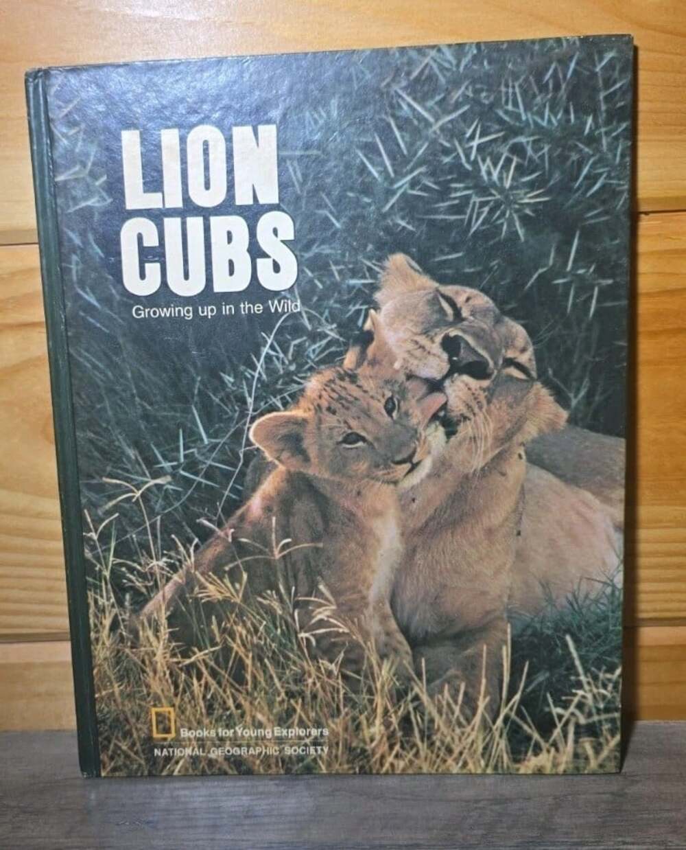 Lion Cubs Growing up in the Wild National Geographic Society HB 1972